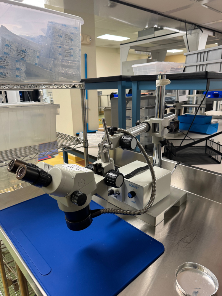 Image of Luxo Stereo Microscope